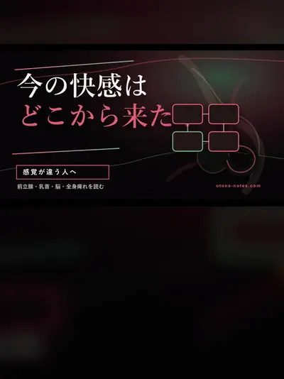 ドライオーガズム絶頂感4分類｜前立腺・乳首・脳・全身